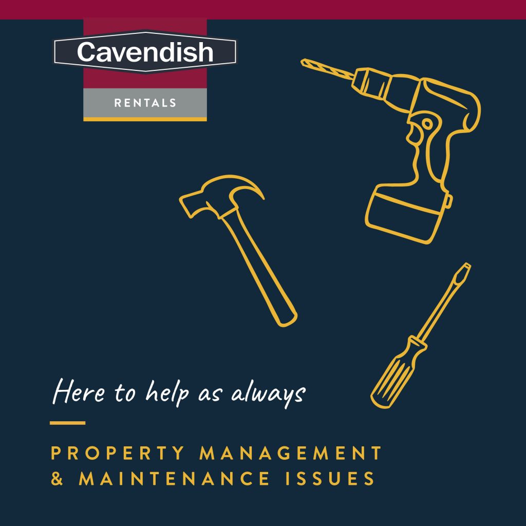 here to help property maintentance rentals